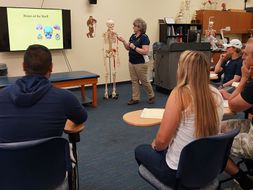 Students in class observe a presentation about the skeletal system