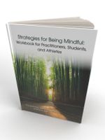 Picture of strategy of being mindful book